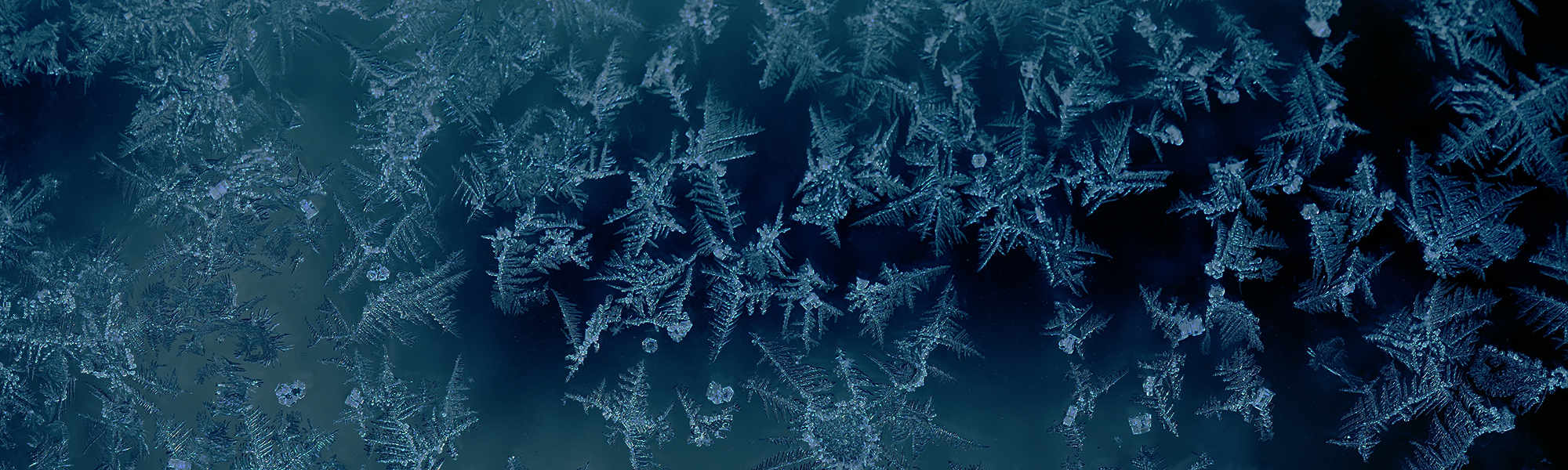 Proceed to the Next Steps