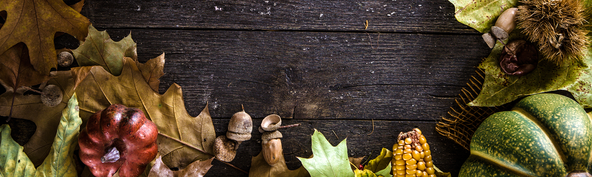 Proceed to the Next Steps